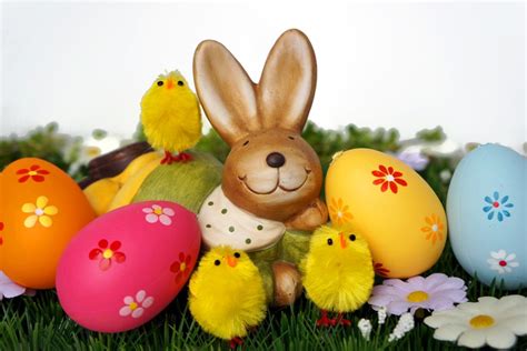 Frohe Ostern – Wiese mit Blumen - lizenzfreie Fotos / Bilder kostenlos ...