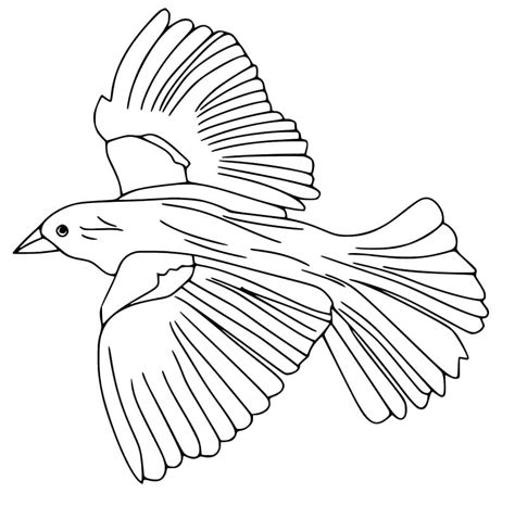 Flying Crow Coloring Pages