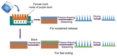 Full View Of Fabrication Process Of Polymer Microneedle Patch The