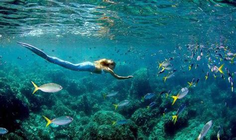 Real Life Mermaid With A £10000 Tail She Uses To Swim With Sharks