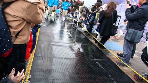 Penguin Parade Of Kaiyukan Aquarium