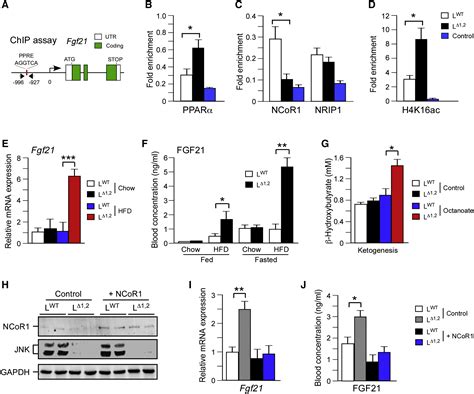 The Pparα Fgf21 Hormone Axis Contributes To Metabolic Regulation By The