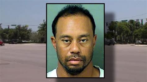 Tiger Woods Arrested For Dui In Florida Nbc News