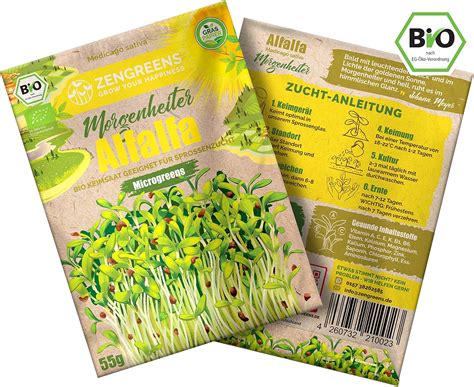 ZenGreens Bio Alfalfa Sprossen Samen 35g in Premium Qualität