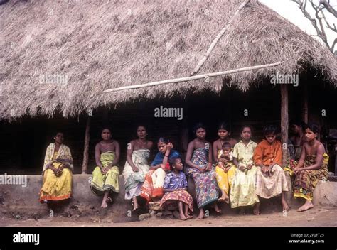 A Group Of Betta Kurumba Hill Tribes Of Nilgiris Sitting The Hut At Mudumalai Tamil Nadu