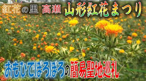 【高瀬】山形紅花まつりとおもひでぽろぽろ【20270713】 Youtube