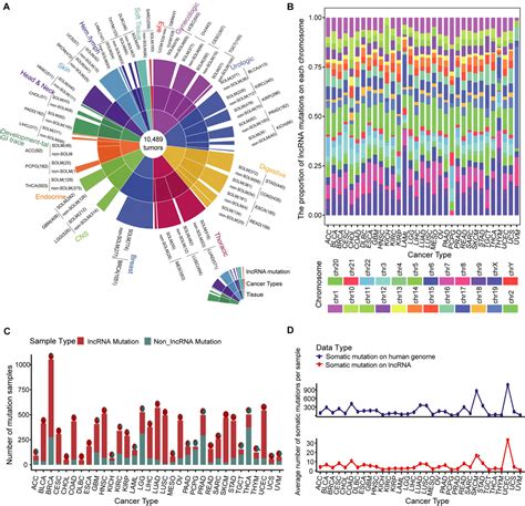 Frontiers Oncogenic Landscape Of Somatic Mutations Perturbing Pan