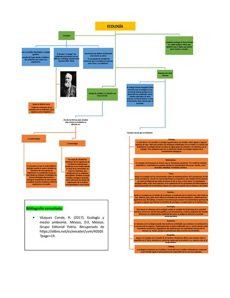 Actividad Mapa Conceptual Campo Estudio Bibliograf A Consultada