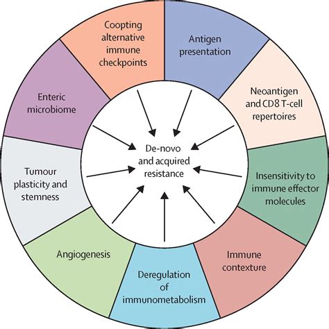 De Novo And Acquired Resistance To Immune Checkpoint Targeting The