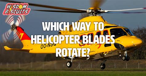 Which Way Do Helicopter Blades Rotate Wisdom Biscuits