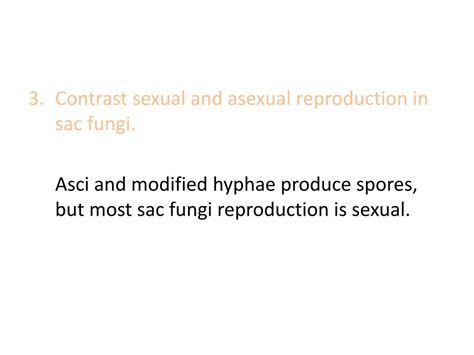 Ppt Section 53 Kingdom Fungi Pgs 152 158 Powerpoint Presentation