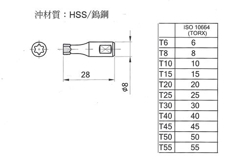 健盈實業股份有限公司 Chienying Tool梅花沖頭 材質 鎢鋼 Hss