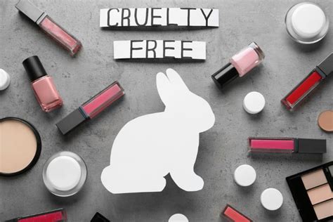 Cosm Ticos Cruelty Free Beneficios Y Caracter Sticas