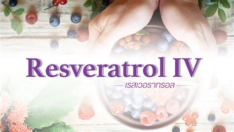 Resveratrol IV เรสเวอราทรอล