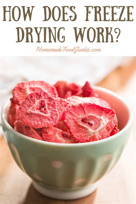 How Does Freeze Drying Work? | Homemade Food Junkie