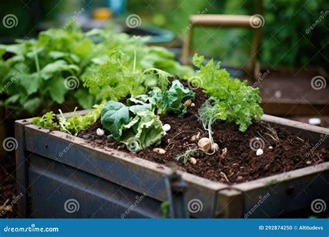 A Compost Bin Filled With Organic Waste Stock Photo Image Of