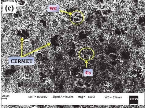 (a-d): SEM images of (a) as-cast Al7075 alloy, (b) Al7075-6 wt.% WC-Co ...