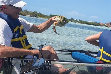 Clear Kayak Tour Of Mangroves In Turks And Caicos Providenciales