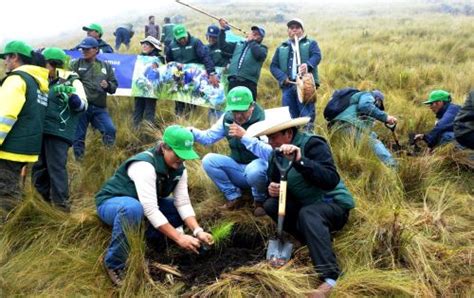 Huella verde conoce el proyecto que sembró un millón de árboles