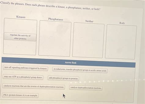 Solved Classify The Phrases Does Each Phrase Describe A Chegg