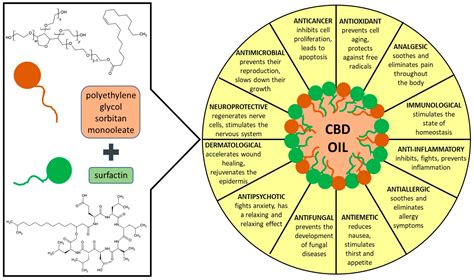 Aplikasyon Potansy L Nan Nanoemulsion Cbd