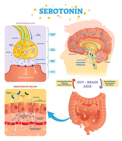 Brexpiprazole Warnings: Side Effects of Rexulti | Alternative to Meds Ctr