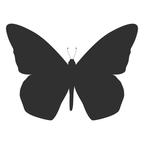 Designs Png De Silhueta De Borboleta Para Camisetas E Merch