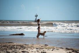 Matagorda Surfing Day Trip - Likely By Sea