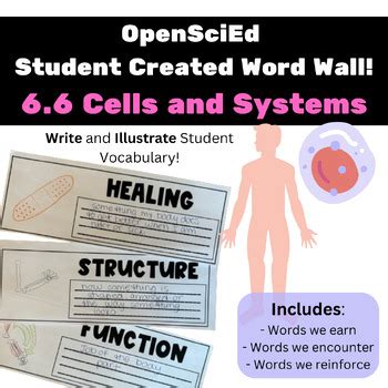 Openscied Cells And Systems Student Created Word Wall Tpt