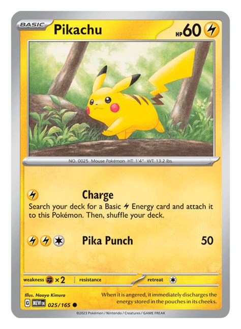 Pikachu Trainers Website