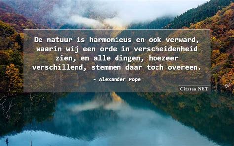 13 Citaten Met Verscheidenheid Citaten Quotes Uitspraken En