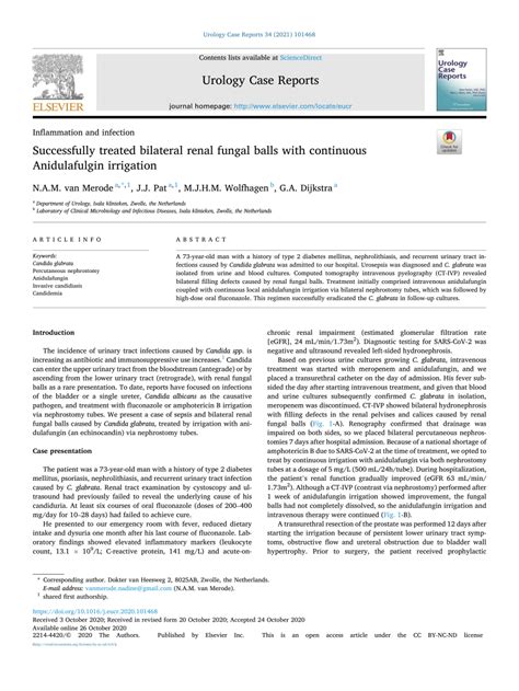 Pdf Successfully Treated Bilateral Renal Fungal Balls With Continuous