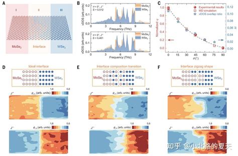 清华最新science：单层二维横向异质结的同步电整流和热整流效应 知乎