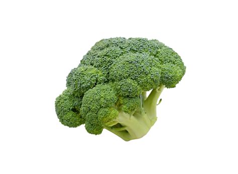 Broccoli Png Transparent Background 29711013 Png