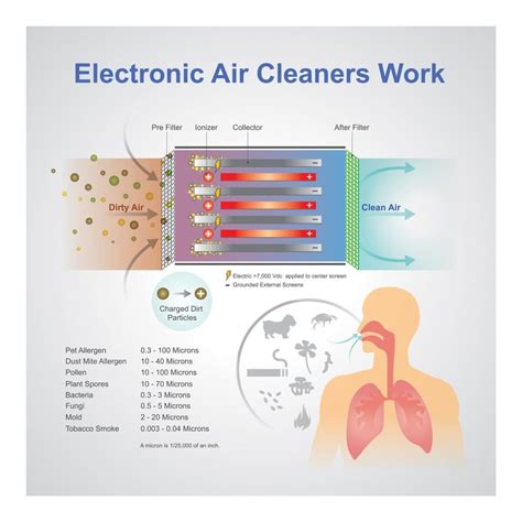 How Do Air Purifiers Work What Does An Air Purifier Do