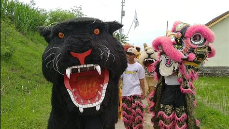 Super Meriah Kirab Barongan Macan Macanan New Pandawa Lanjut Aksi