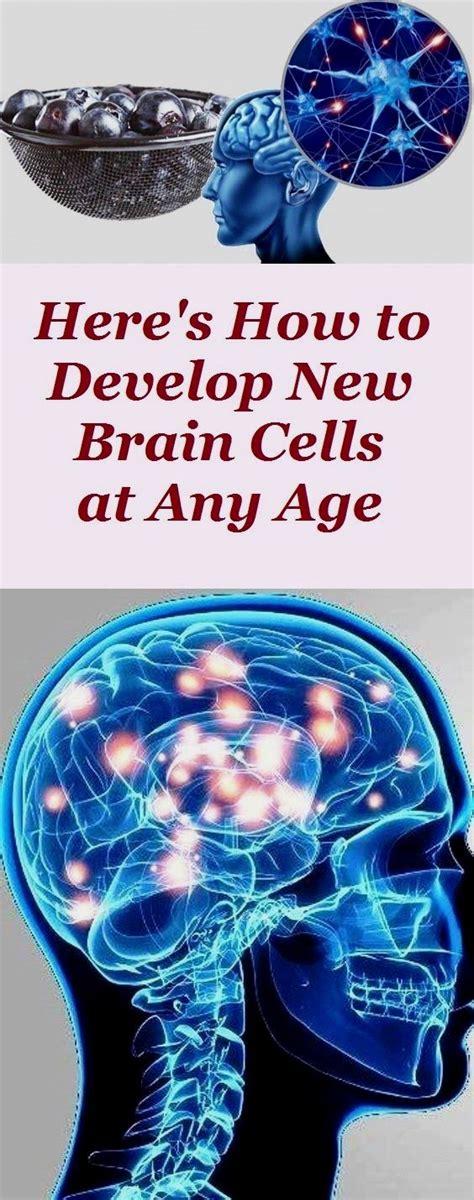 Here S How To Develop New Brain Cells At Any Age In 2020 Natural