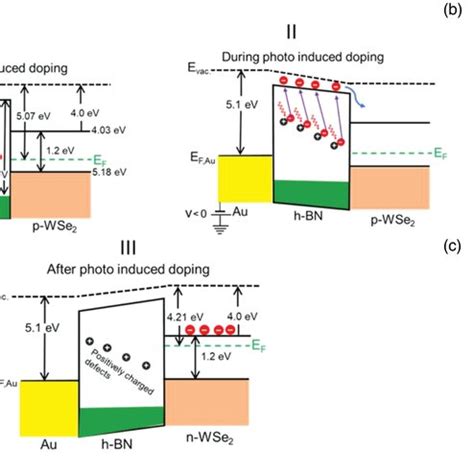 A The Mechanisms Of Photoinduced Doping From Defectinduced Carriers