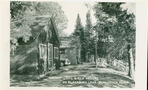 Blackduck, MN, Blackduck Lake, White Birch Resort, ca 1950 | Ren Holland's Website