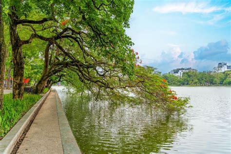 Lago Hoan Kiem Ho Guom O Lago Sword En El Centro De Hanoi Por La Ma Ana