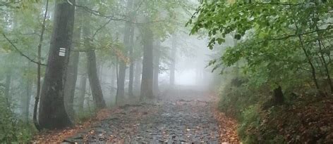 Parafia Matki Bożej Szkaplerznej Czy jestem wymagająca y wobec siebie