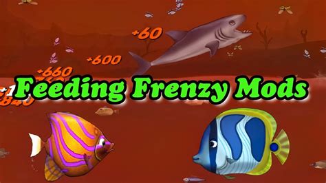 Feeding Frenzy Mods For Pc Youtube