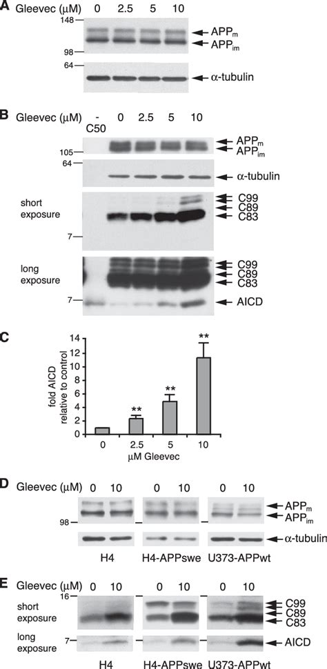 Dose Dependent Increase In Aicd And App C Terminal Fragments After