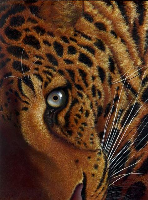 15 Best FABULOUS WILDLIFE PAINTINGS images | Wildlife paintings ...