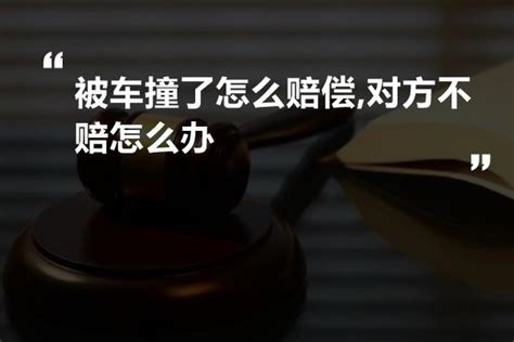 被车撞了怎么赔偿对方不赔怎么办 法书网