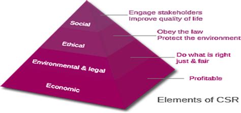 Carroll S Csr Pyramid 1991 Download Scientific Diagram