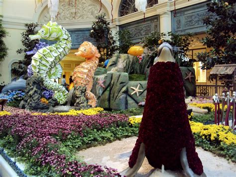 Amy's Creative Pursuits: The Bellagio Gardens