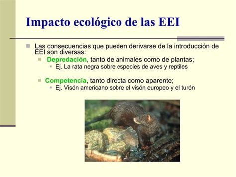 Especies Exóticas Invasoras En España