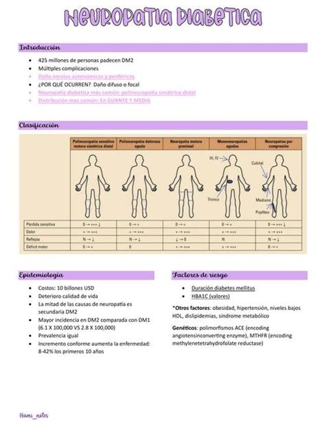 Neuropat A Diab Tica Hami Notes Udocz