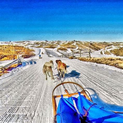 Snow Farm New Zealand Cardrona Vacation Rentals House Rentals And More